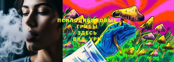 молекула духа Алексеевка