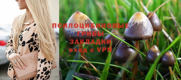 молекула духа Алексеевка