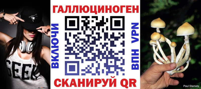 Псилоцибиновые грибы Psilocybe Славск